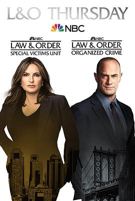 法律与秩序组织犯罪第二季 第4集