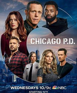 芝加哥警署第八季 第14集